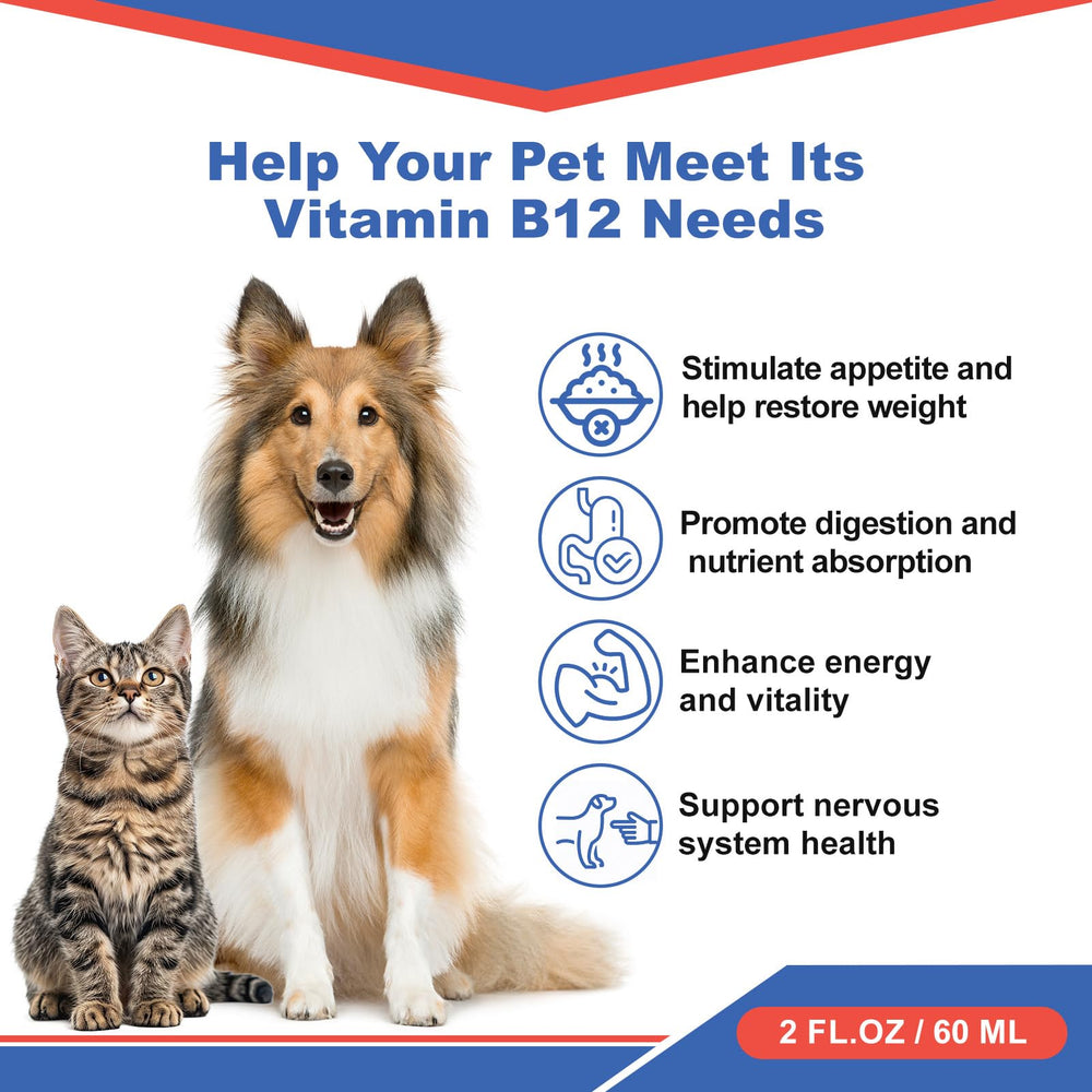 Netrca Chat – B12 méthylcobalamine pour énergie et bien-être.