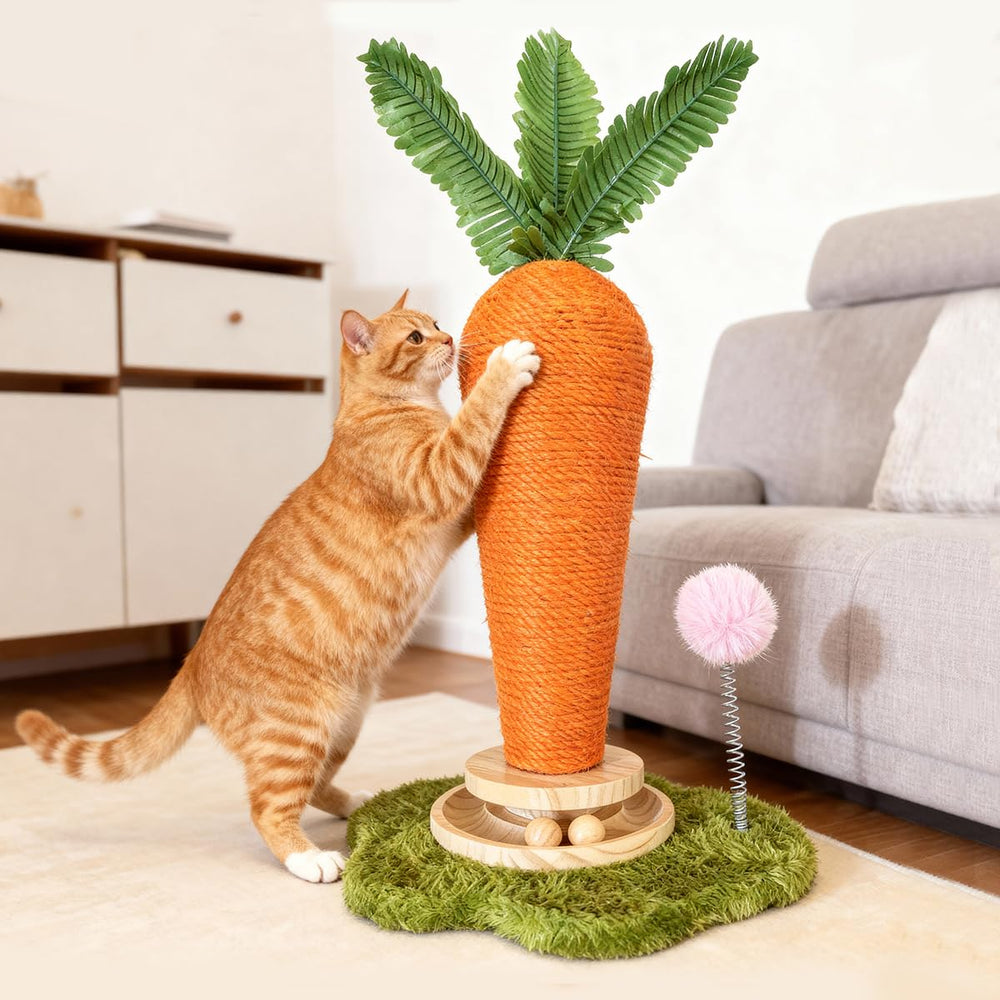 Nets Tribe design compact pour chat, gain de place sans compromis sur le jeu.