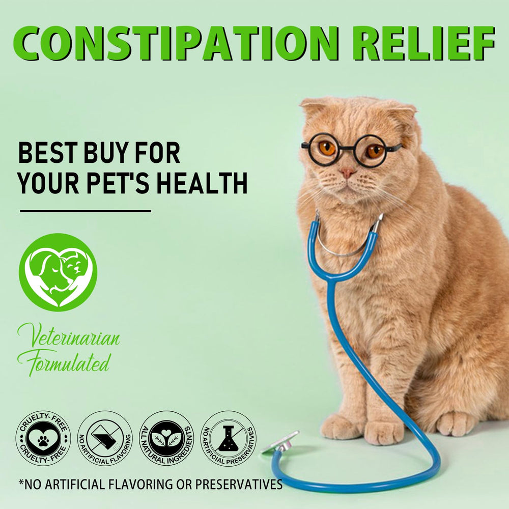 Netwik Cat Constipation Relief: amélioration potentielle de la digestion quotidienne du chat.