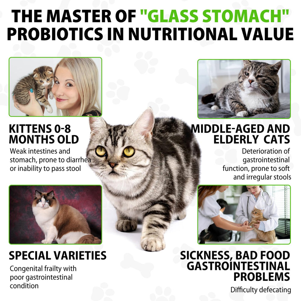 Netwik Cat Constipation Relief: gouttes pour dosage précis et administration facile.