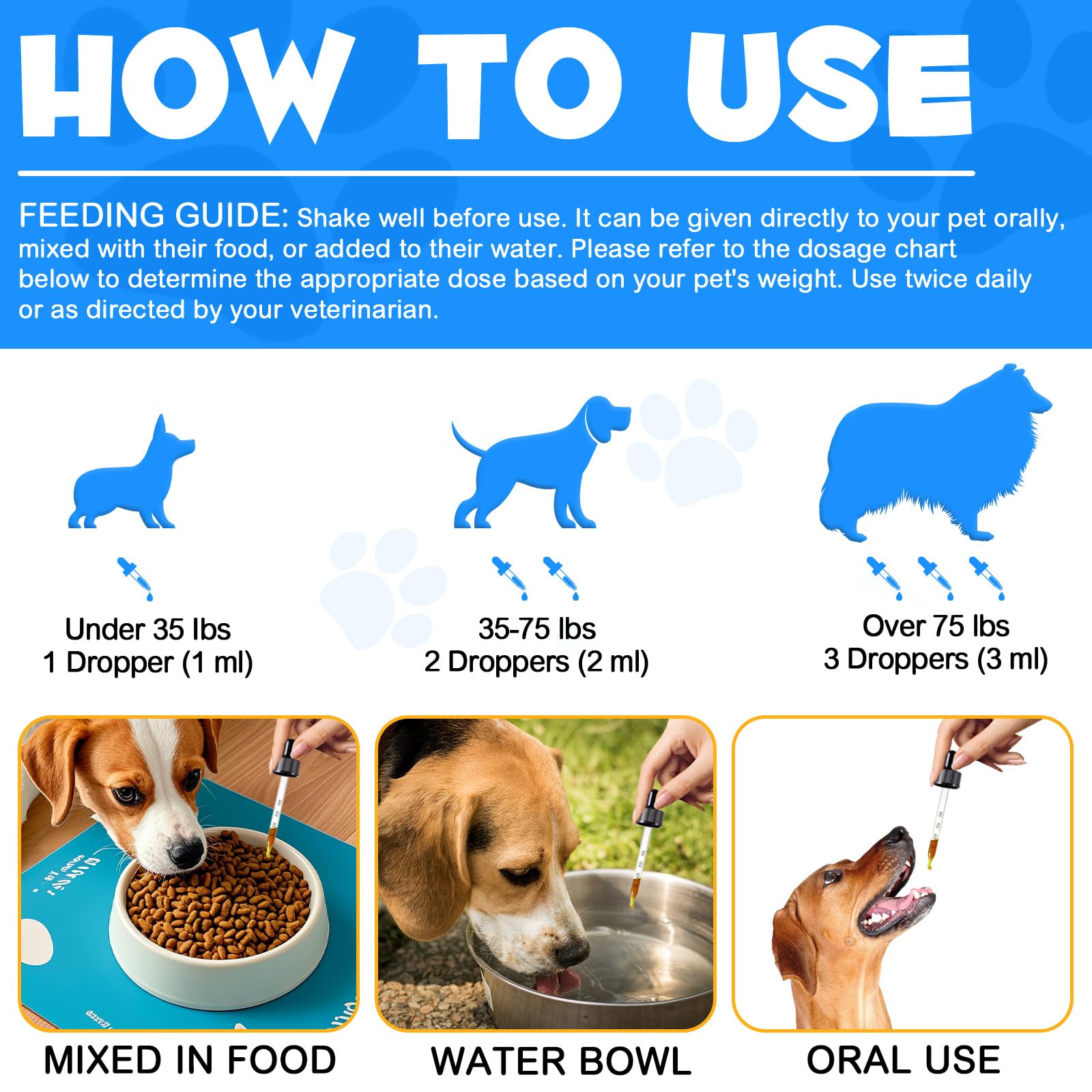 Netwik Collagène pour chien — gingembre ajouté pour un confort digestif potentiel.