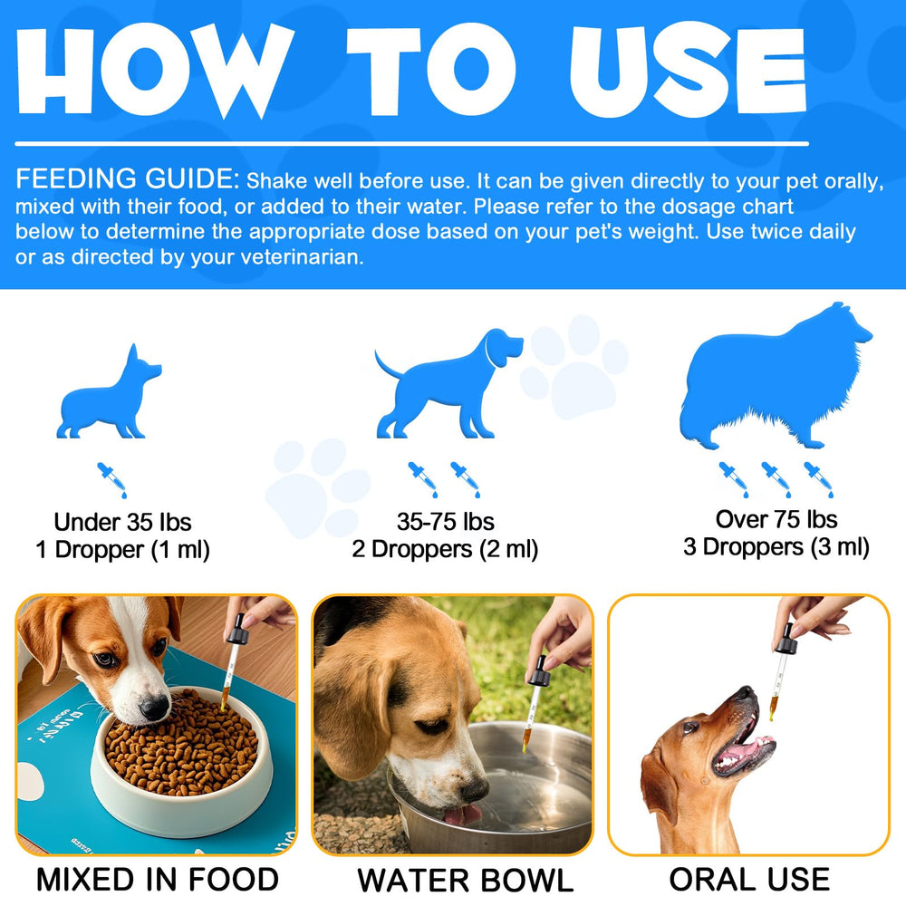 Netwik Collagène pour chien — gingembre ajouté pour un confort digestif potentiel.