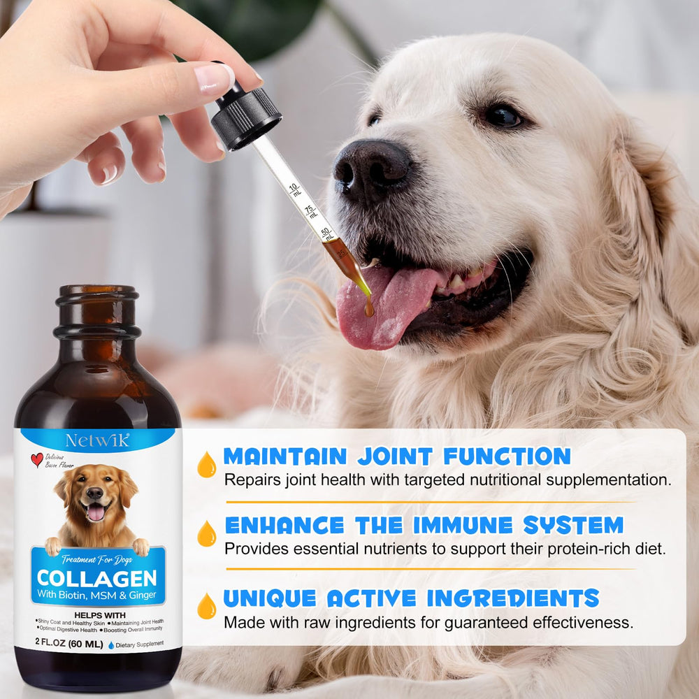 Netwik Collagène pour chien — format liquide pratique à intégrer au quotidien.
