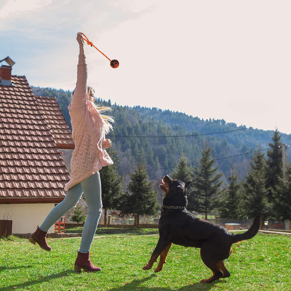 Nevperish balle-coordination et plaisir en extérieur, idéal pour chiens actifs.
