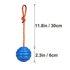 Nevperish balle tir et tir à travers corde bleu, jeu interactif pour chien.
