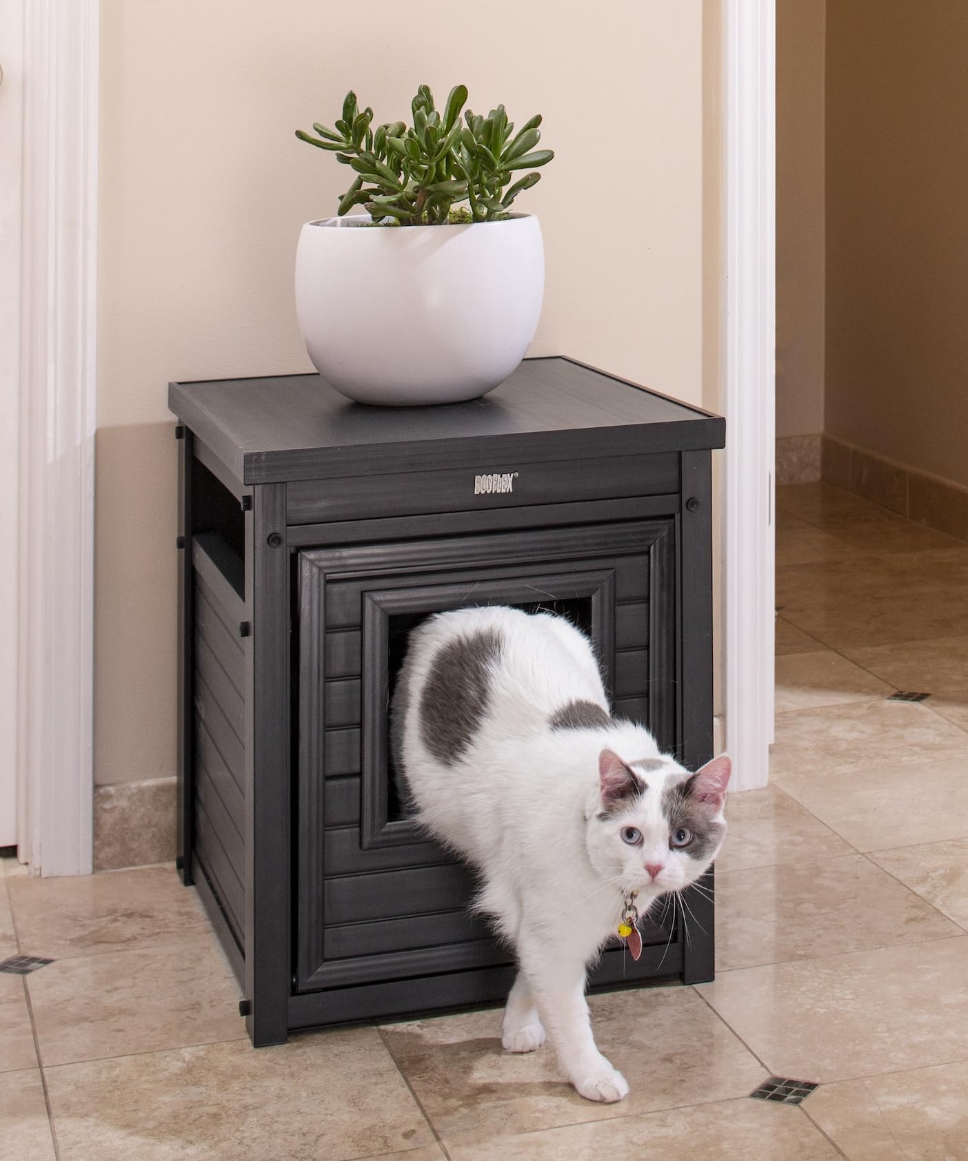 Dimensions du Jumbo Litter Loo pour bacs plus volumineux
