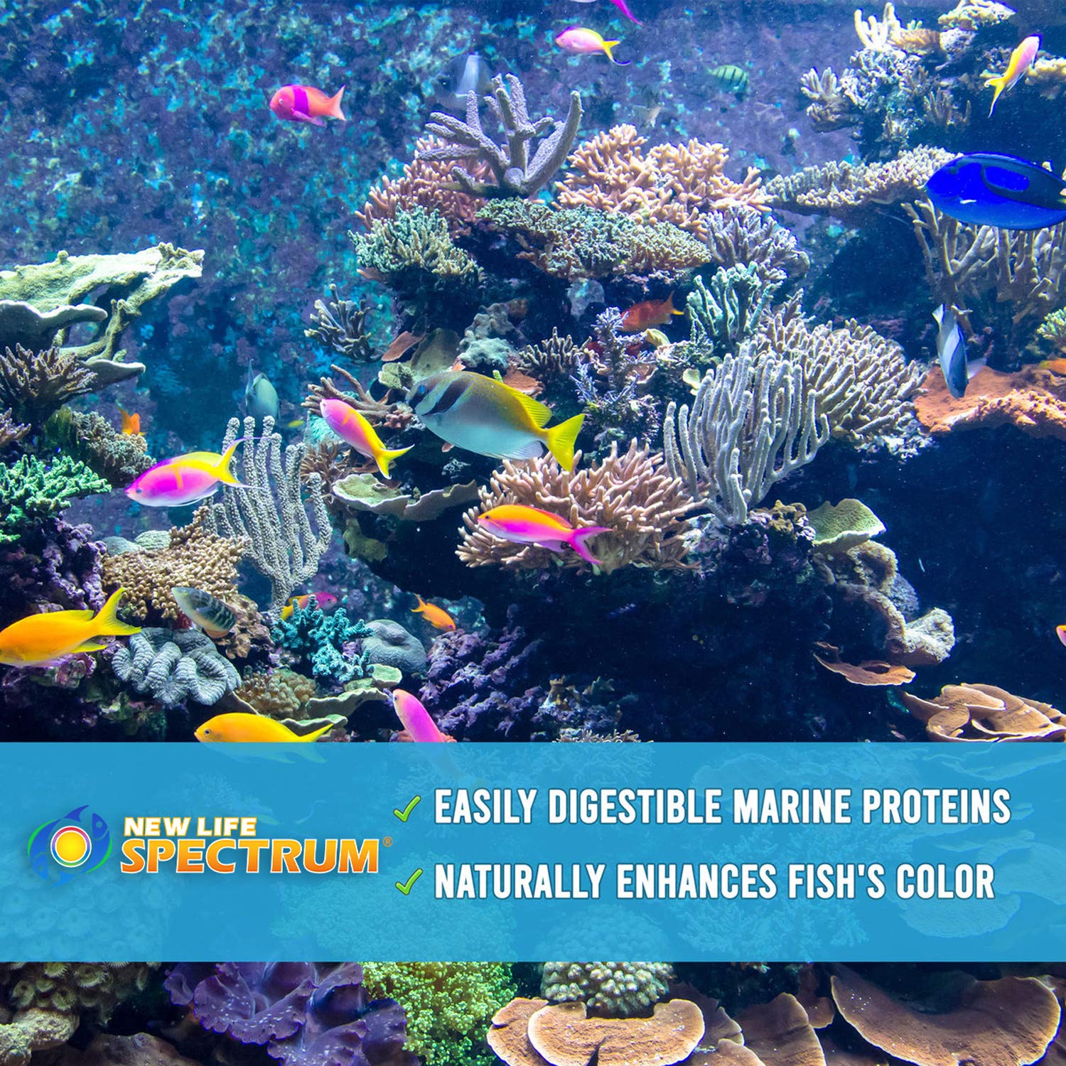 New Life Spectrum Algaemax favorise couleur et vitalité des poissons d'aquarium.