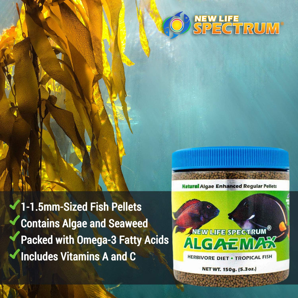 Conditionnement pratique en bocal de New Life Spectrum Algaemax.