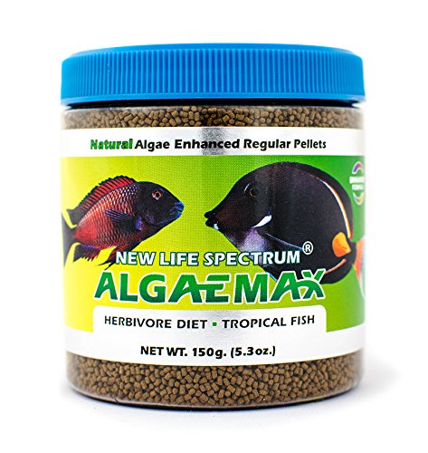 Granulés Algaemax dans l'eau, dissolution contrôlée et eau claire.