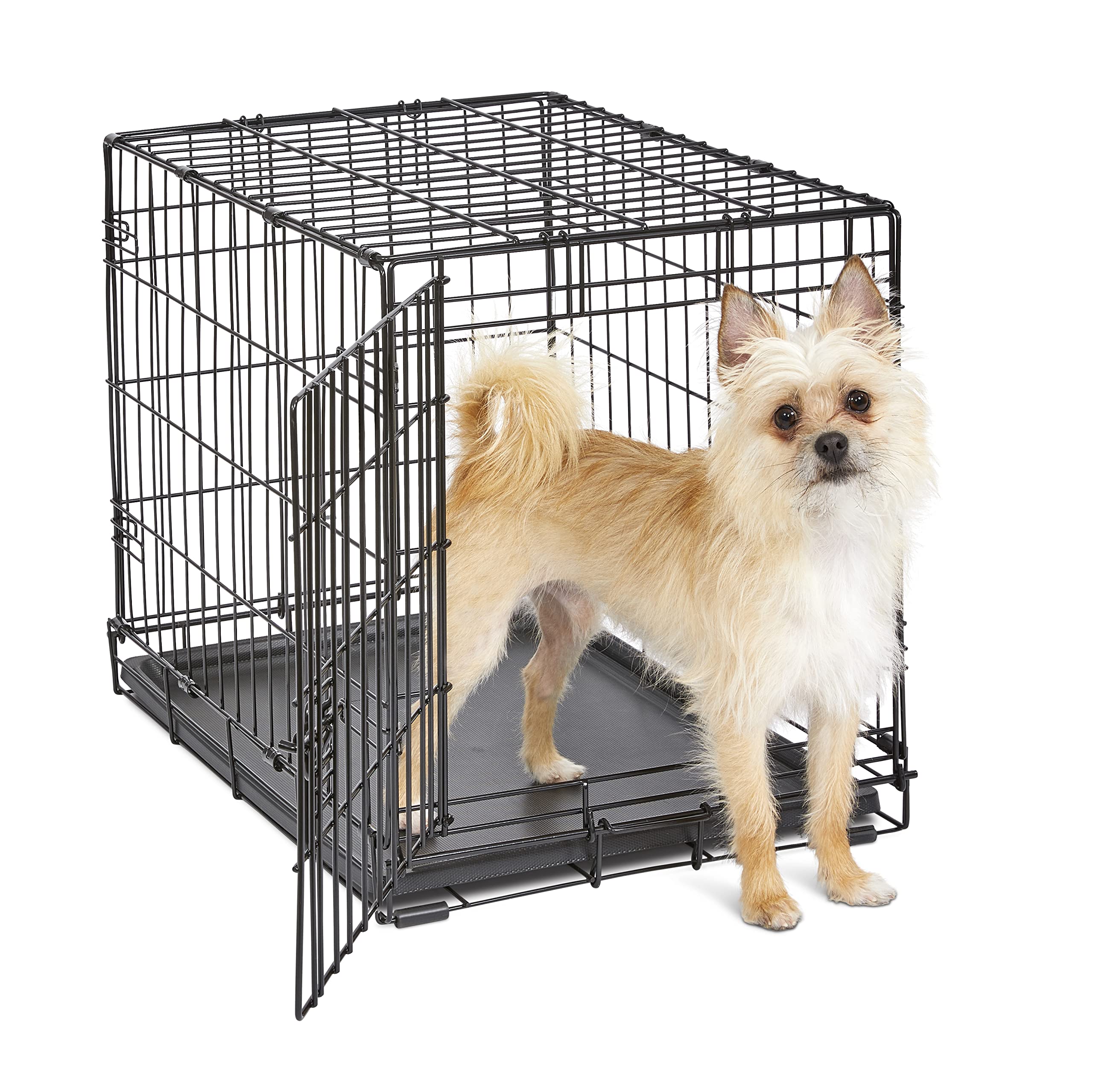 New World cage 24 pouces pour petits chiens, accès facile et espaces confortables.