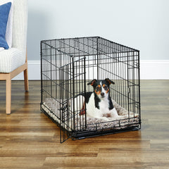 New World cage chien avec verrou coulissant et bloc patte pour sécurité.