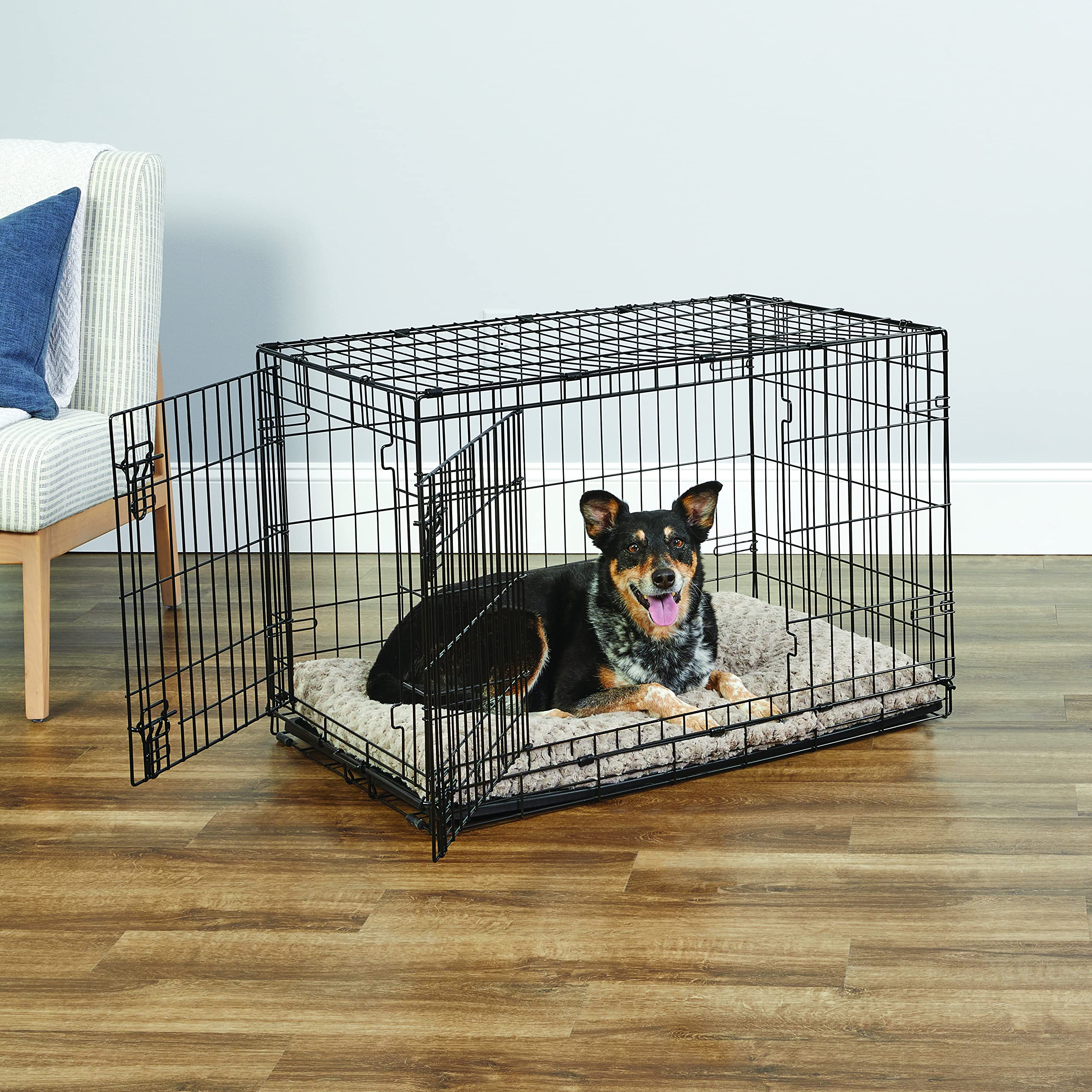 New World cage pour chien, verrouillage-pattes assurant sécurité