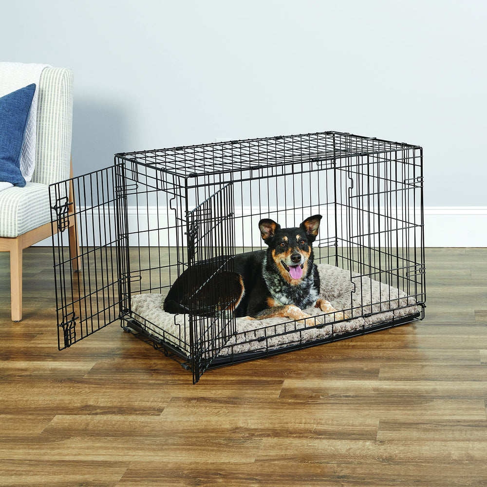 New World cage pour chien, verrouillage-pattes assurant sécurité