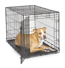 New World crate chien 36po ouverte facilite l entree du chien