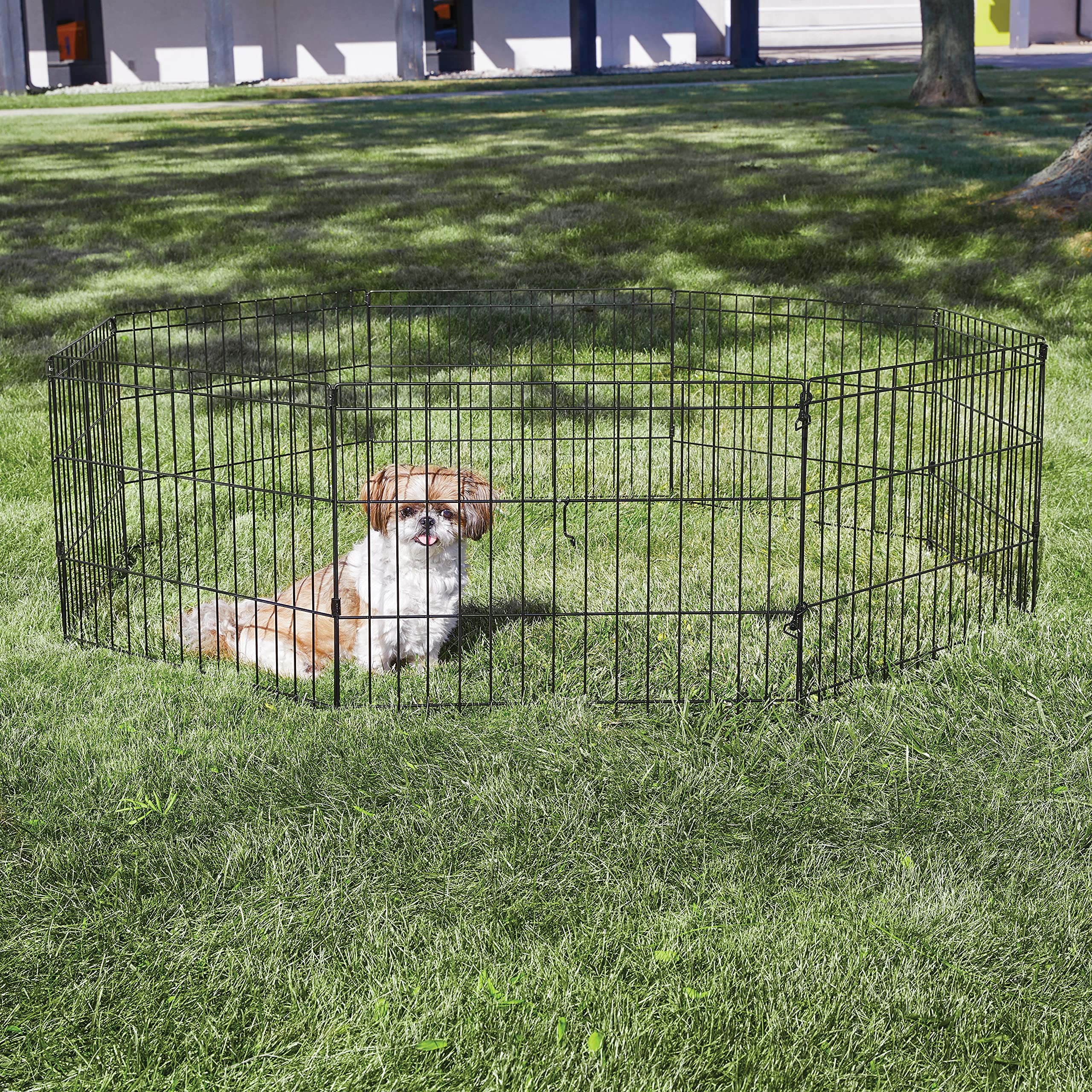 New World enclos – surface-jeu 16 pieds carrés, parfait pour petits animaux.