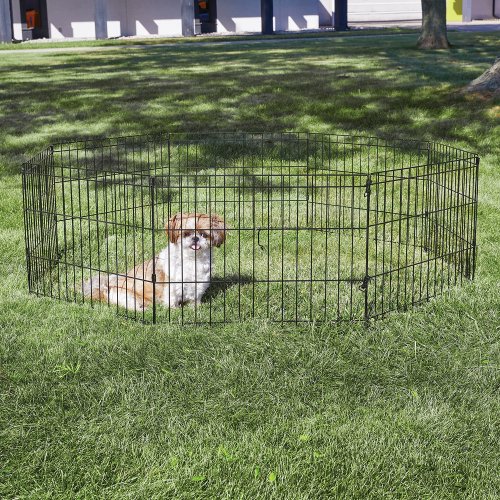 New World enclos – surface-jeu 16 pieds carrés, parfait pour petits animaux.