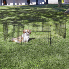 New World enclos – surface-jeu 16 pieds carrés, parfait pour petits animaux.