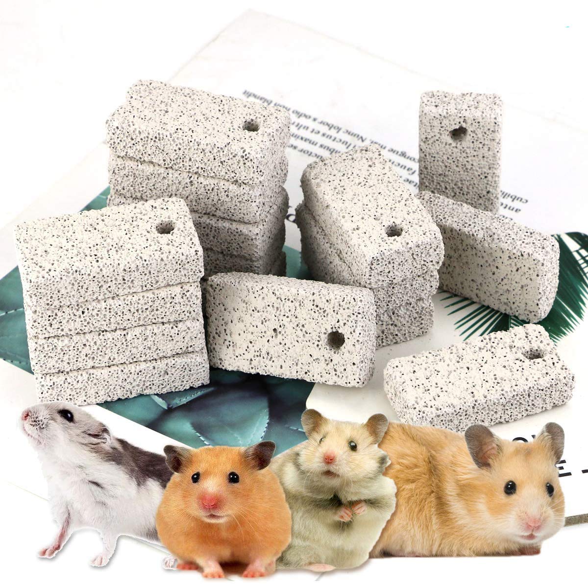 Newbested-bites-lava-dents-petits-animaux favorise le meulage naturel des dents.