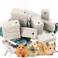 Newbested-bites-lava-dents-petits-animaux favorise le meulage naturel des dents.