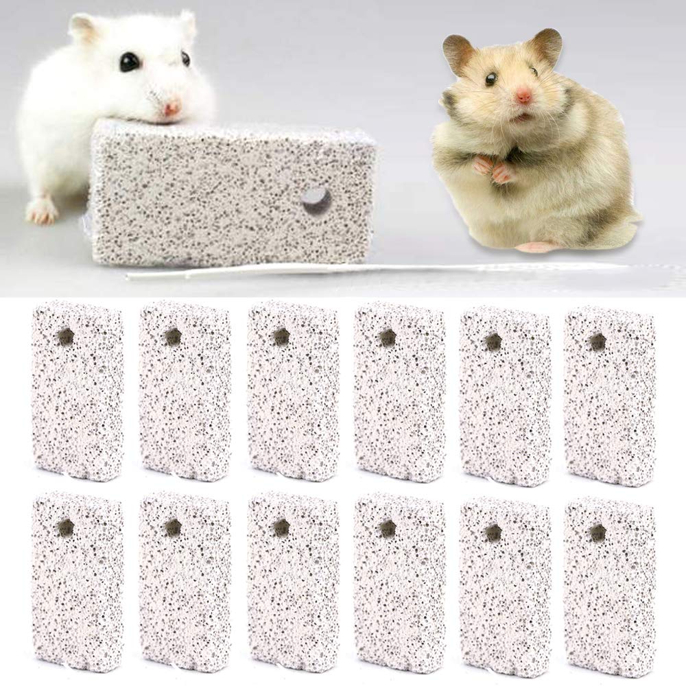 Newbested-kit-20-pieces-grignage-petits-animaux utilité durable pour la dentition.