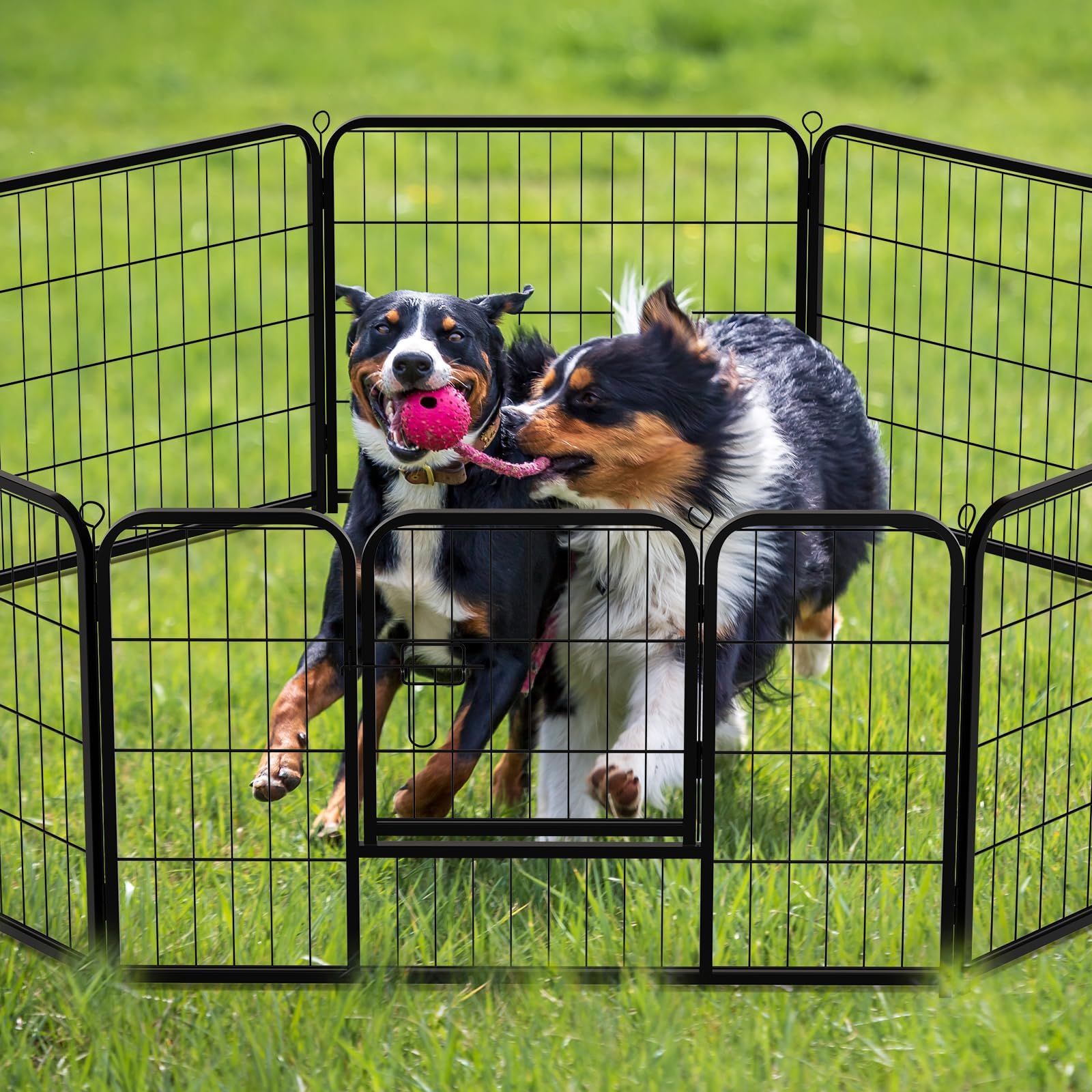 NEWBULIG parc chien design métallique – surface durable prête pour l'extérieur