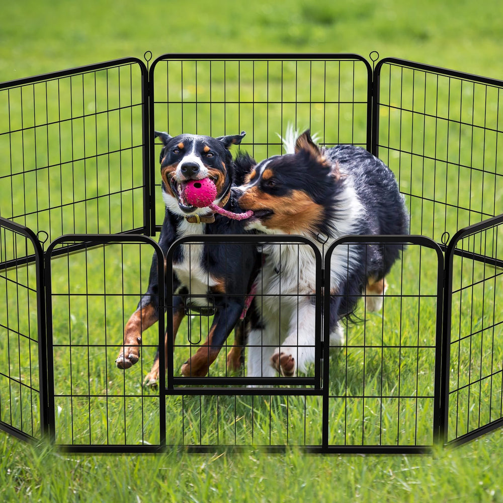 NEWBULIG parc chien design métallique – surface durable prête pour l'extérieur