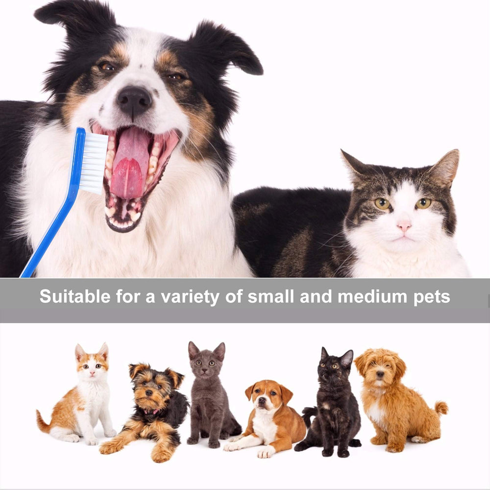 Accessoire dentaire Newday bleu, routine quotidienne pour animaux.