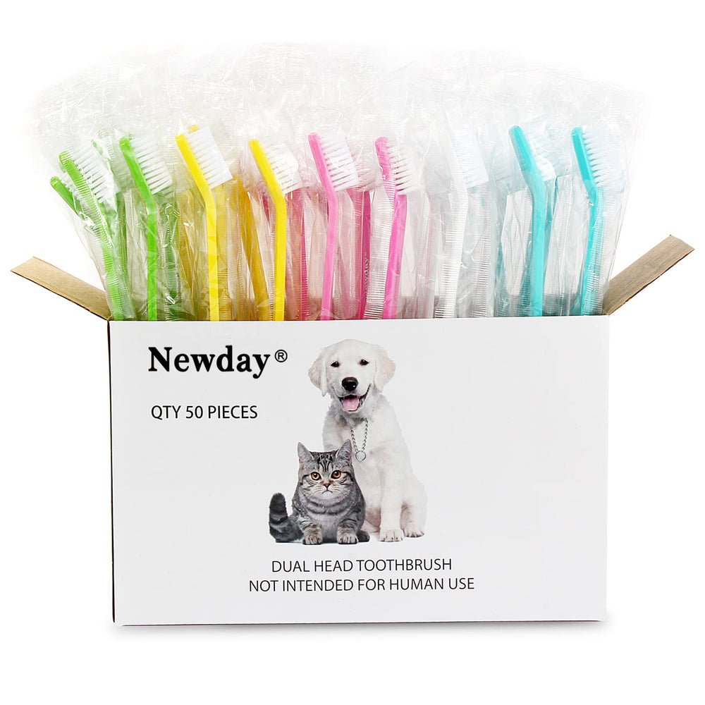 Brosses dentaires Newday sûres pour animaux, poils doux et couleurs vives