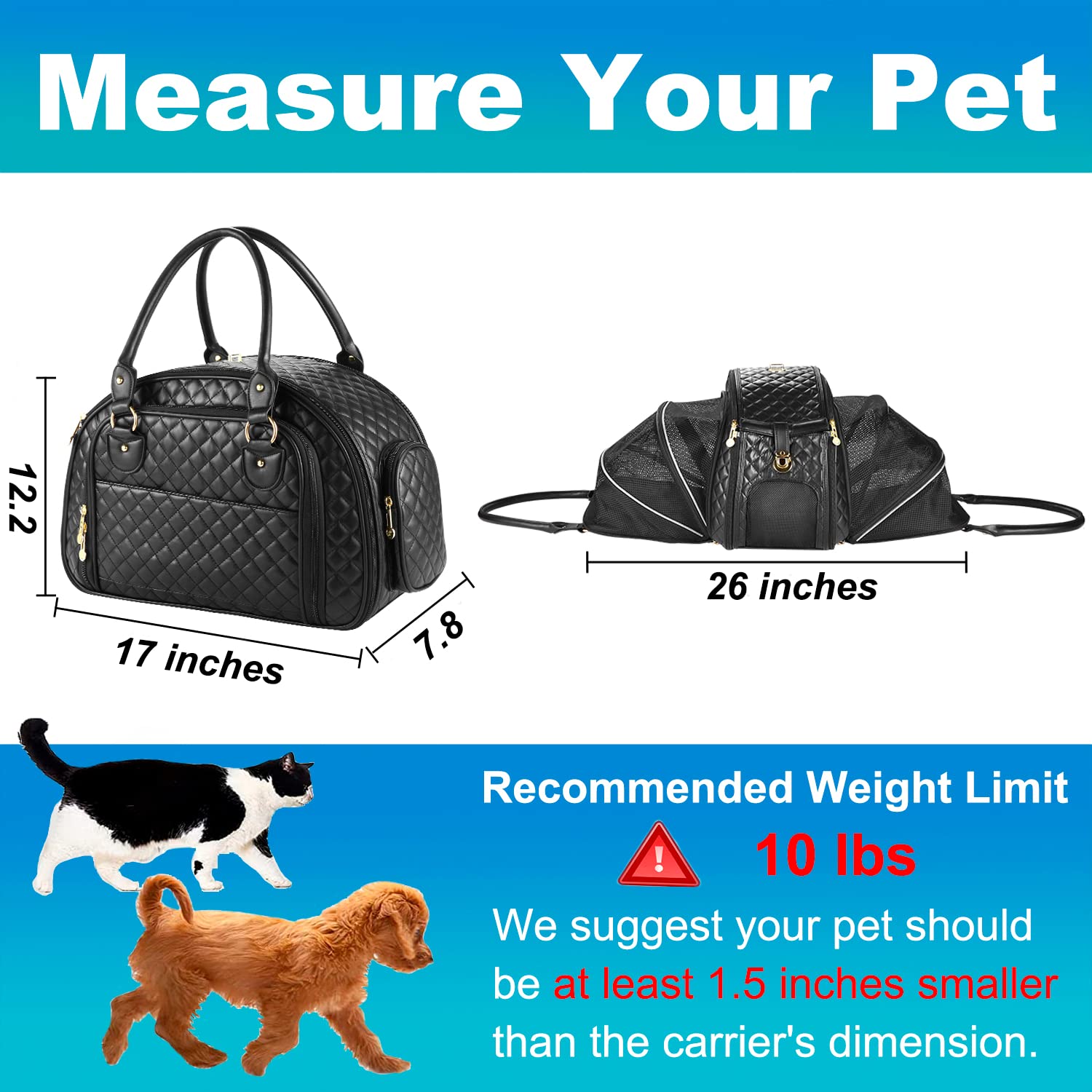 NewEle porte-chien petit, côtés pliables pour plus d'espace.