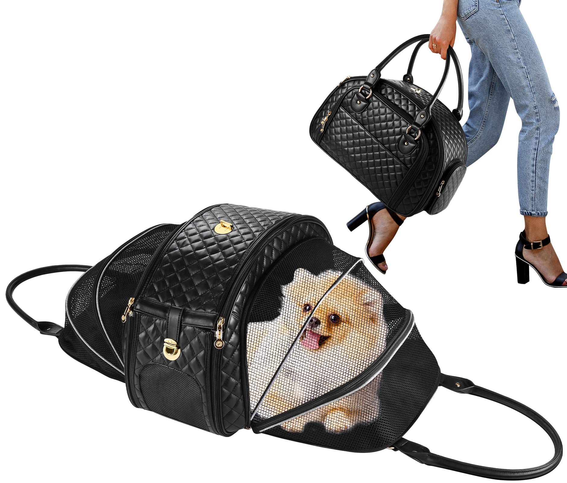 NewEle sac porte-chien petit, vue avant, pratique et sûr.