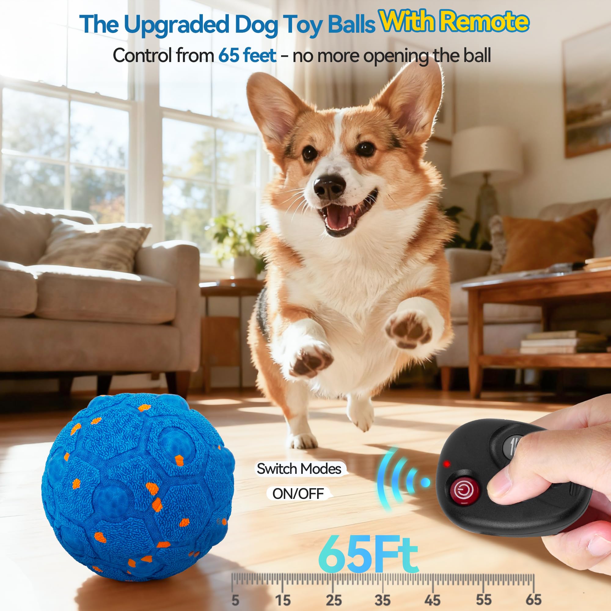 Newget balle chien jeu intérieur et extérieur pour divertir votre compagnon.