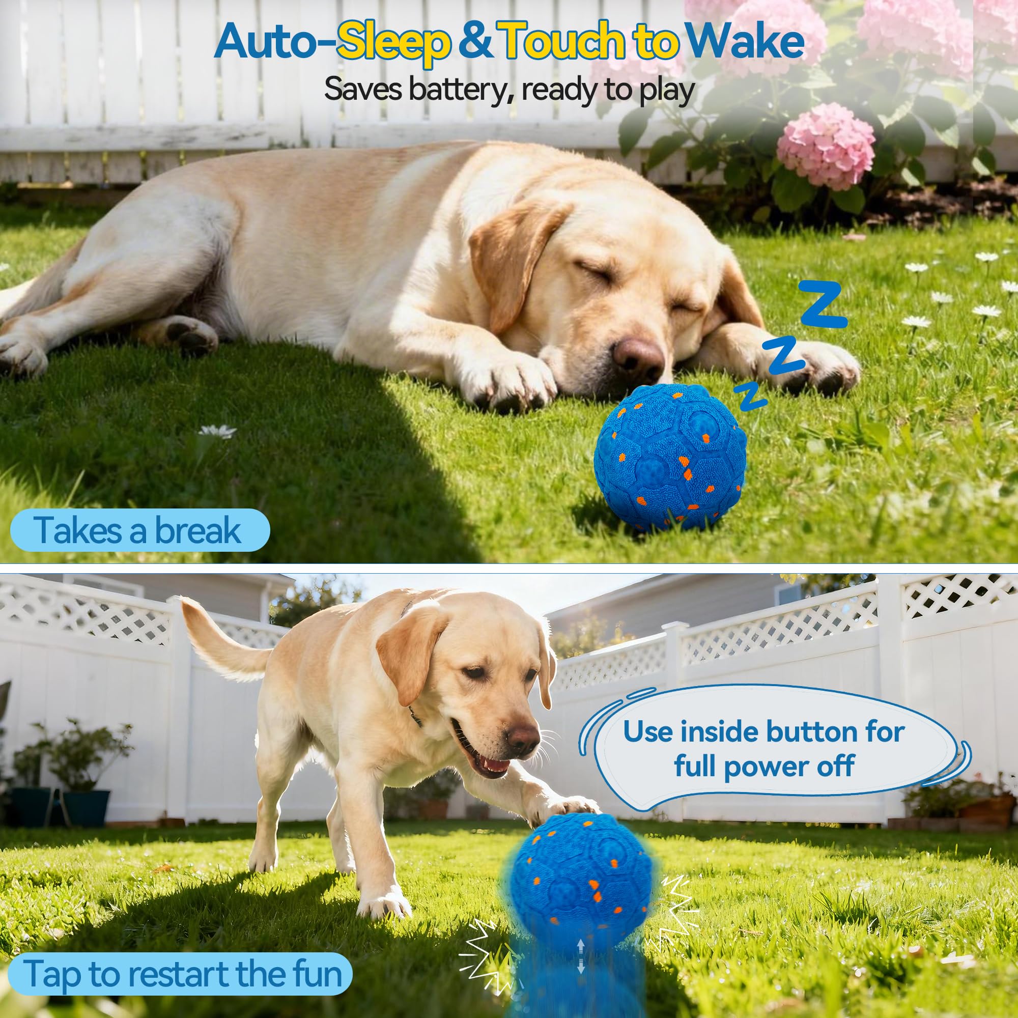 Newget balle rebond et roule sur tapis pour stimulation constante.