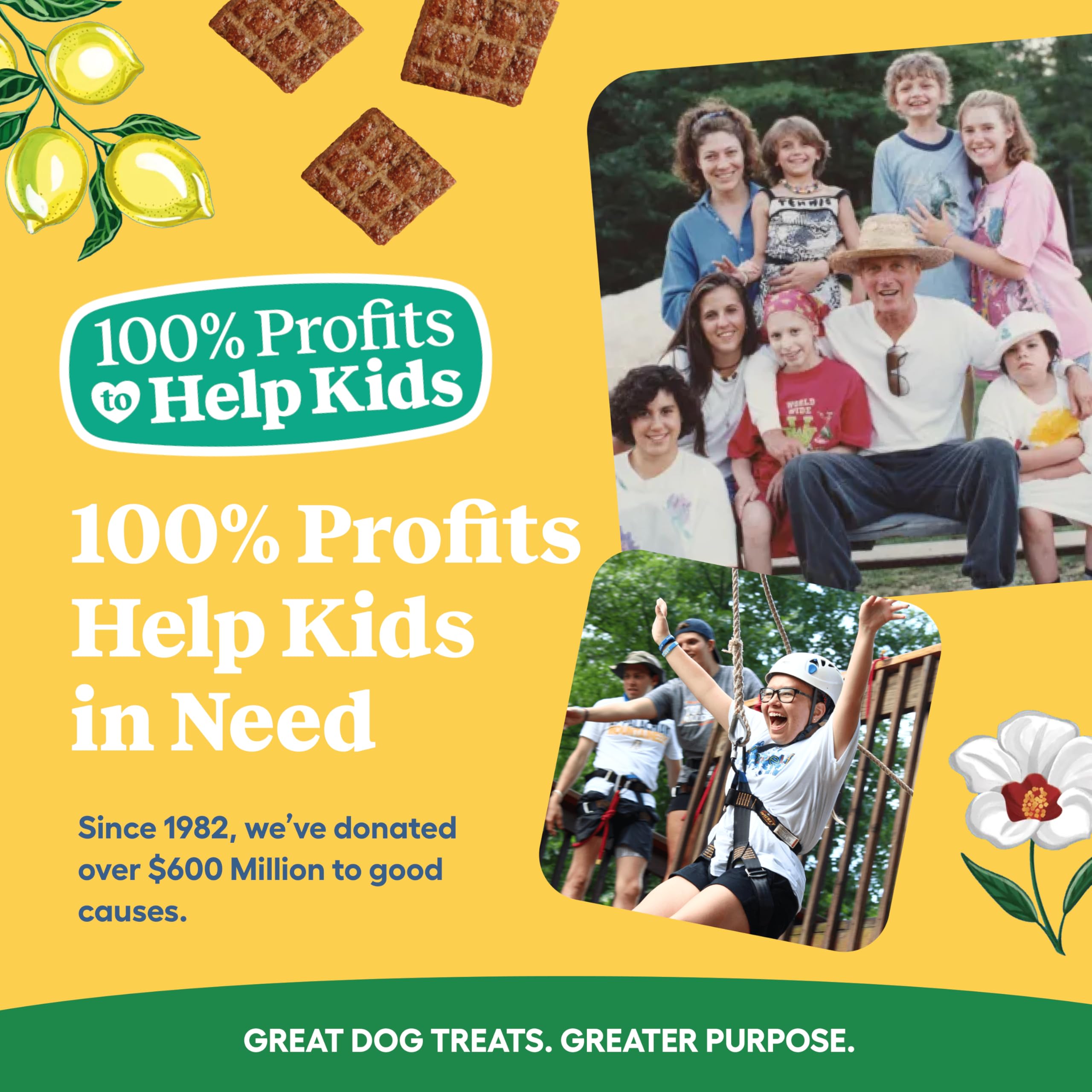Bœuf nourri à l’herbe dans le jerky Newman's Own, qualité premium pour chien.