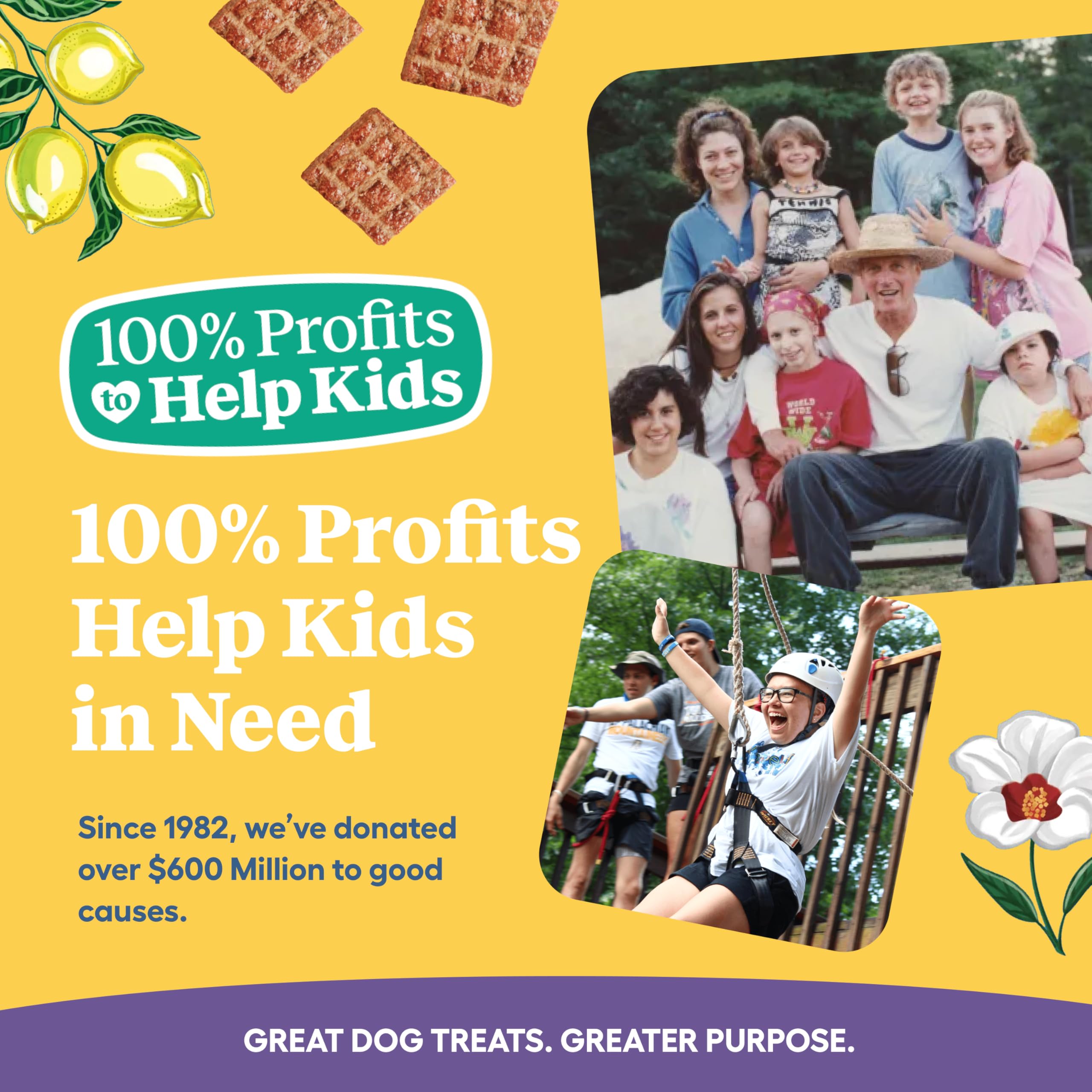 Newman's Own Chicken Jerky sans céréales, option adaptée pour chiens sensibles.