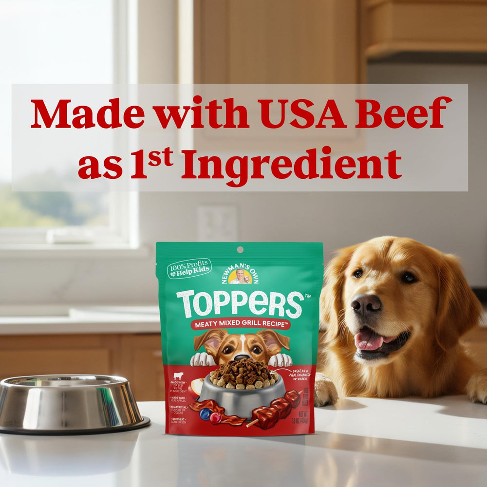 Topper servi sur croquettes pour chien, appétence et praticité