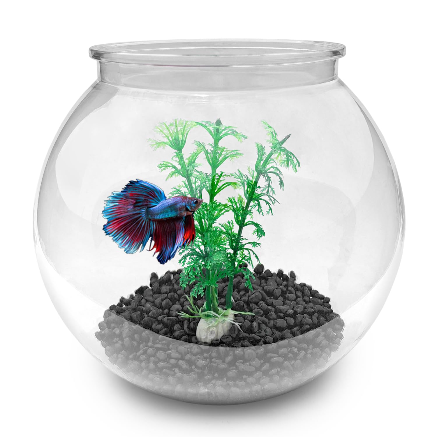 Newpol bocal d'aquarium mini avec herbe aquatique et pierres décoratives pour ambiance zen.