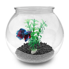 Newpol bocal d'aquarium mini avec herbe aquatique et pierres décoratives pour ambiance zen.