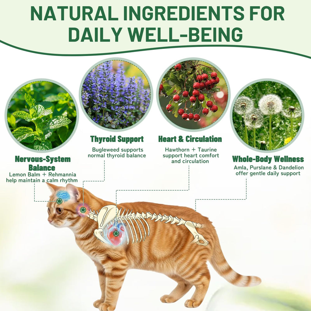 Nexalo rithu Cœur et circulation – plantes complémentaires soutenant la fonction cardiaque.