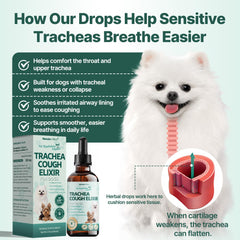 Nexalo Rituh: emballage etiquette de dosage pratique