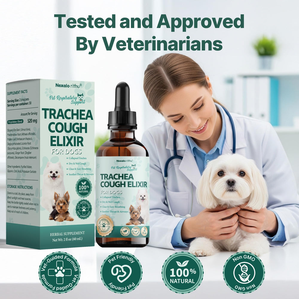Nexalo Rituh: solution respiration chien pendant l’exercice