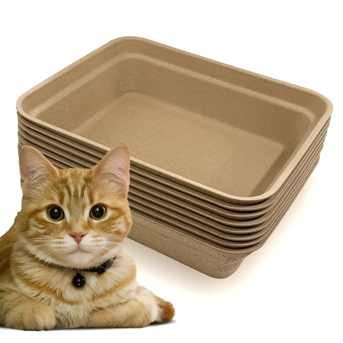 Nexboraque 8 paquets : plateaux jetables pour chats, pratique et hygiénique.