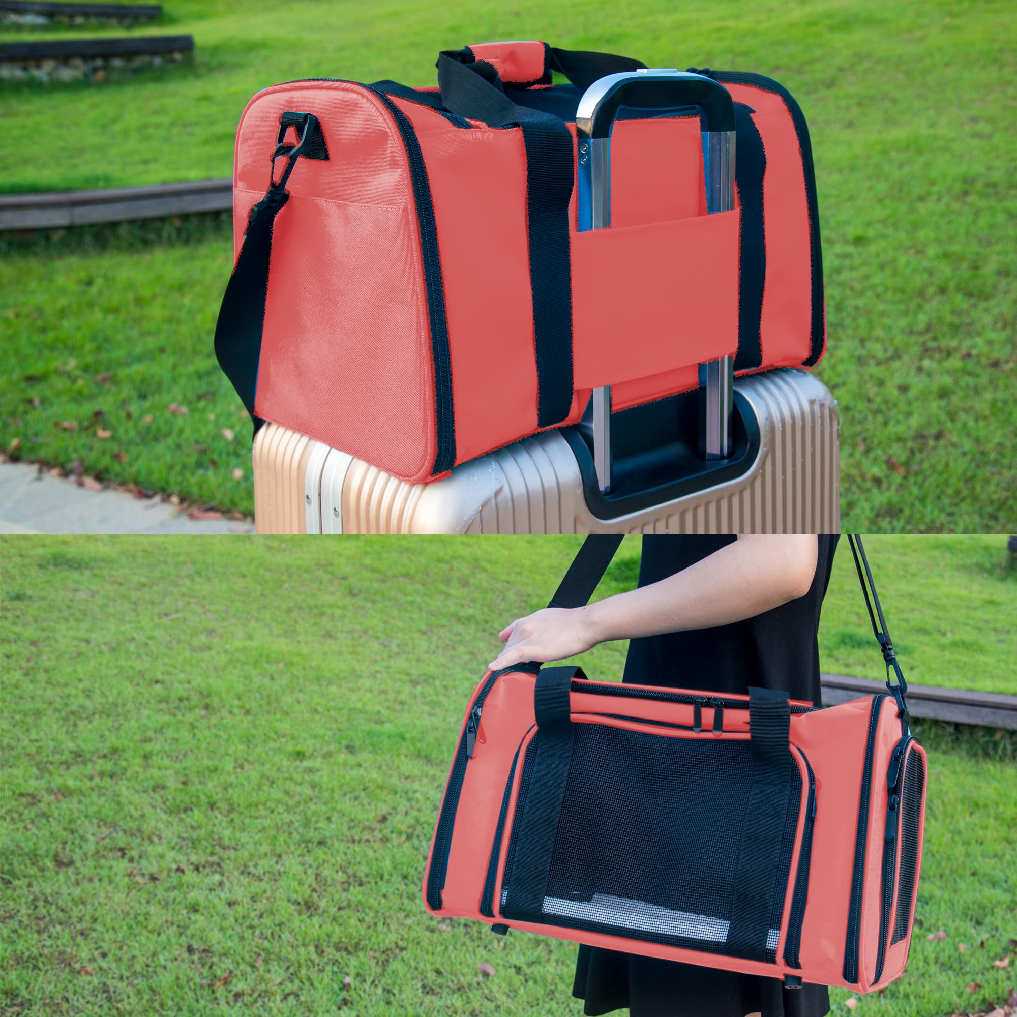 NextFri design pliable et portable pour un rangement facile.