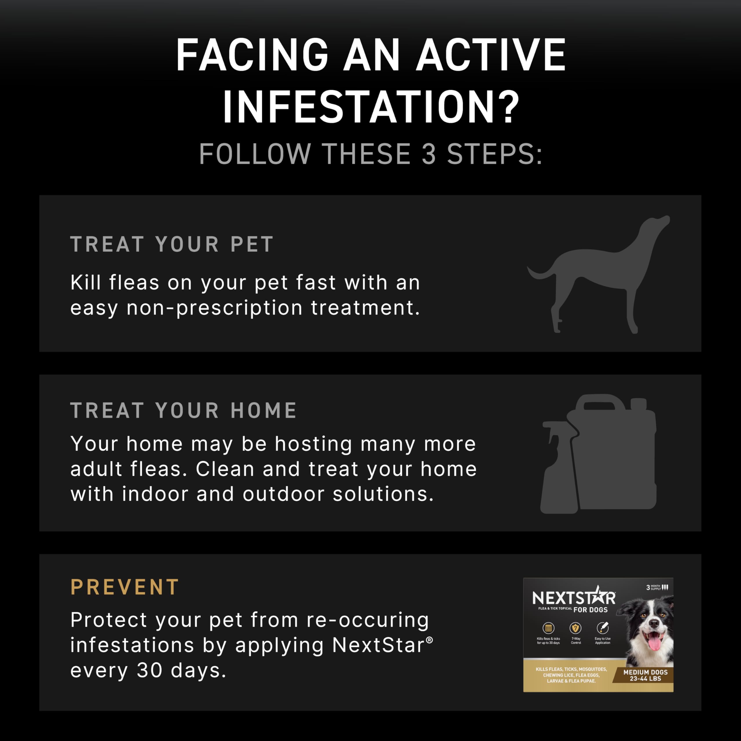 Action rapide NEXTSTAR en quinze minutes pour début de protection.