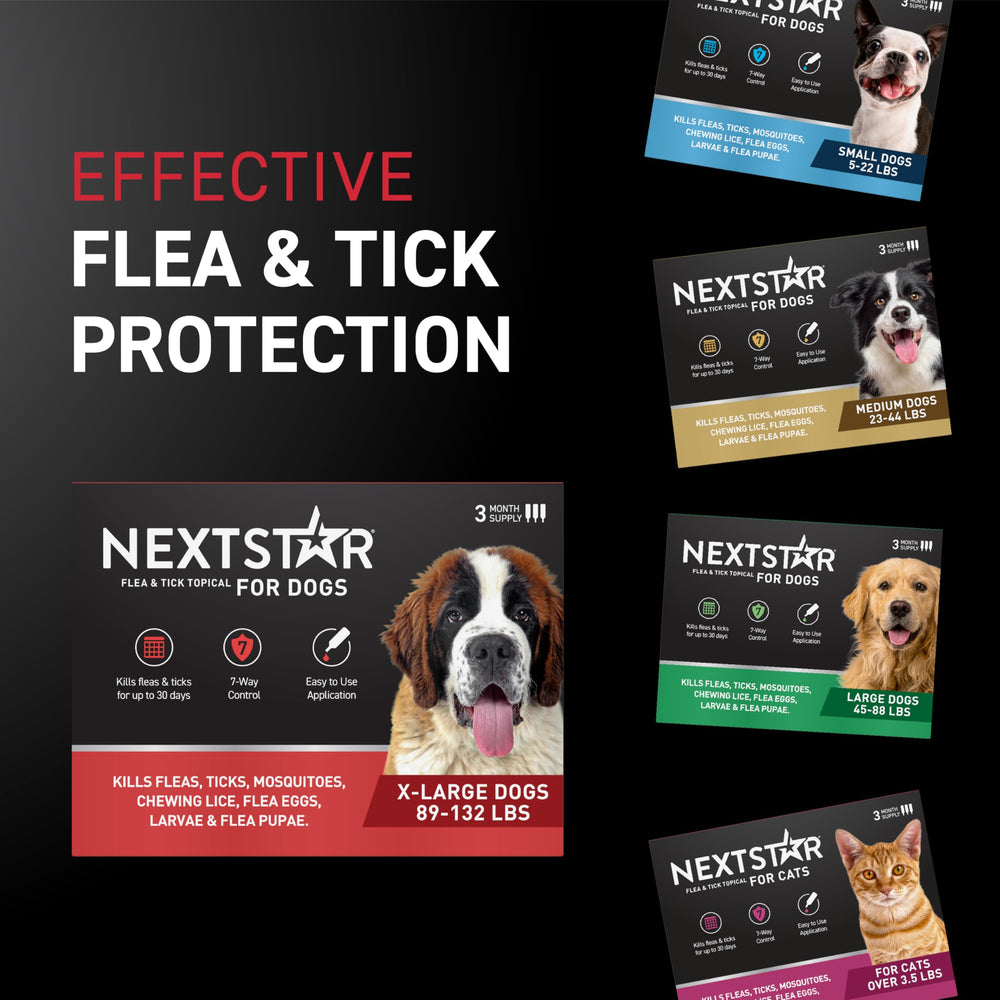 NEXTSTAR: produit waterproof, reste efficace sous pluie et baignade.