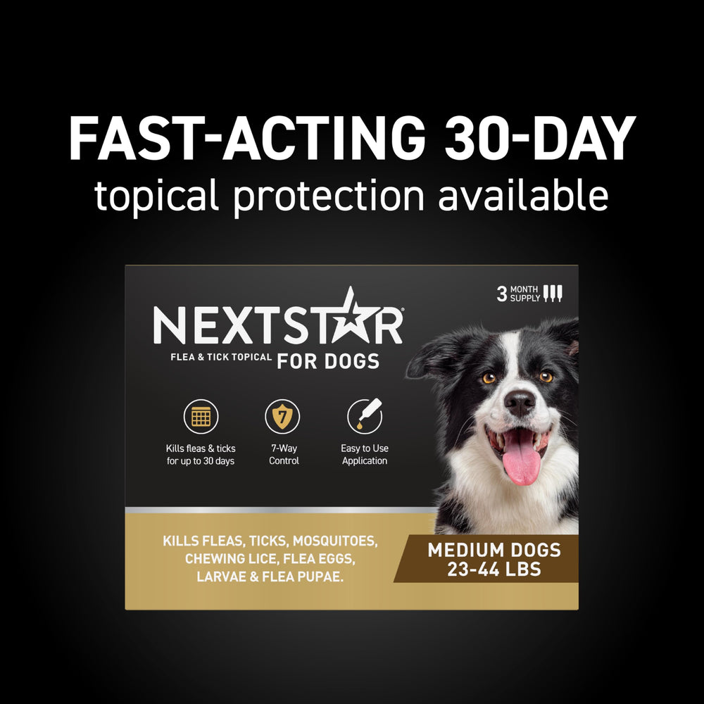 Produit étanche NEXTSTAR offrant une protection durable contre puces et tiques.
