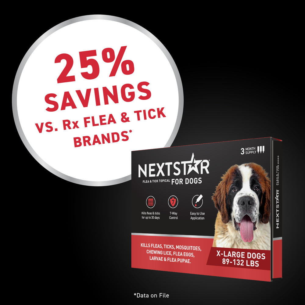 NEXTSTAR: protection fiable pour chiens de grande taille.