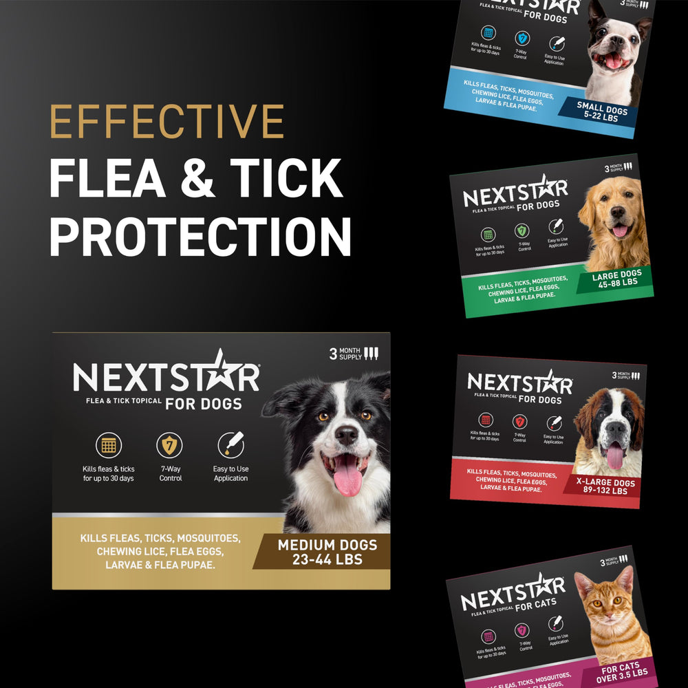 Protection mensuelle NEXTSTAR, lutte contre œufs et larves de puces.