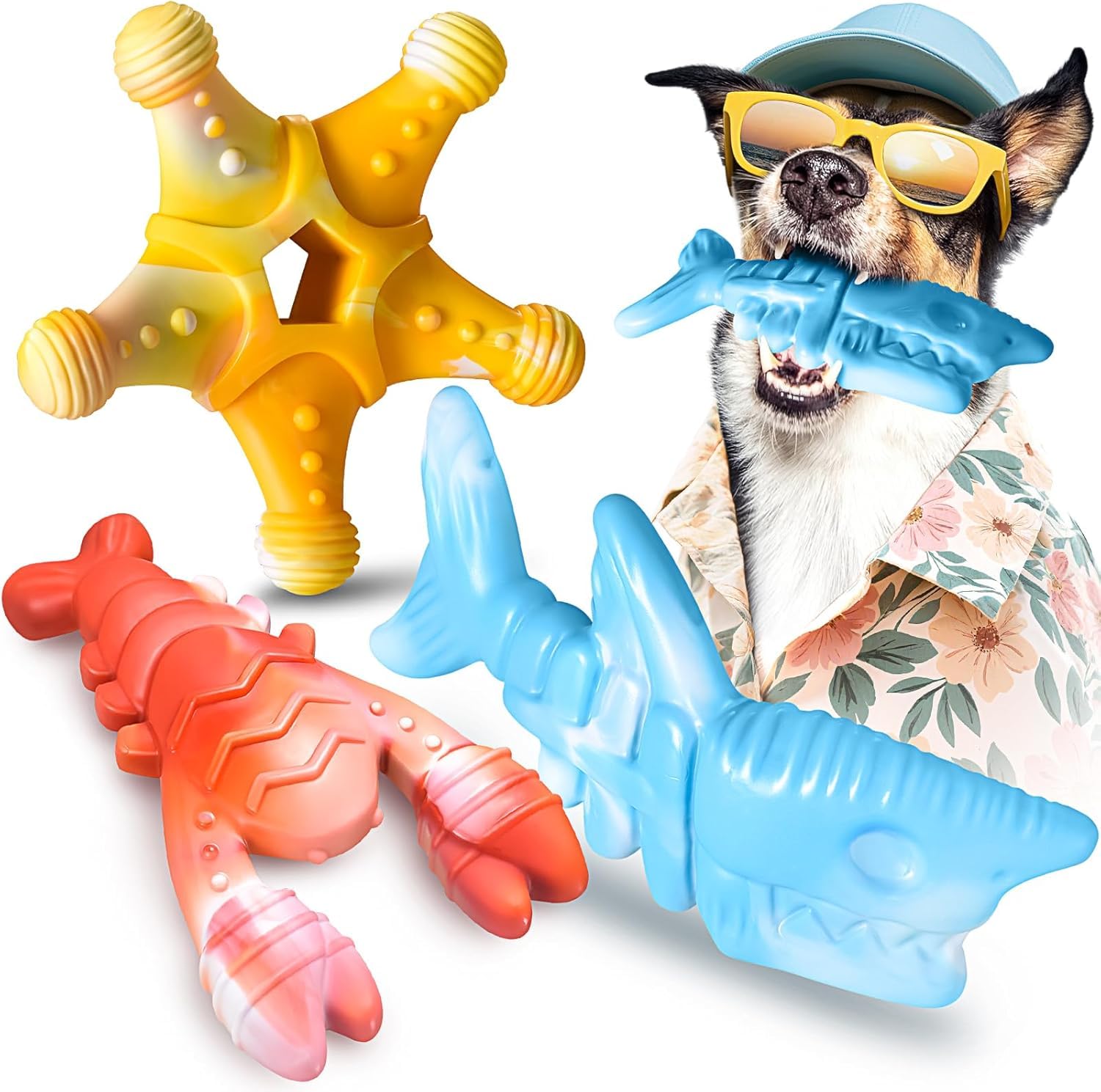 NEZIN jouets a mache r indestructibles pack 3 design oceane pour chien.
