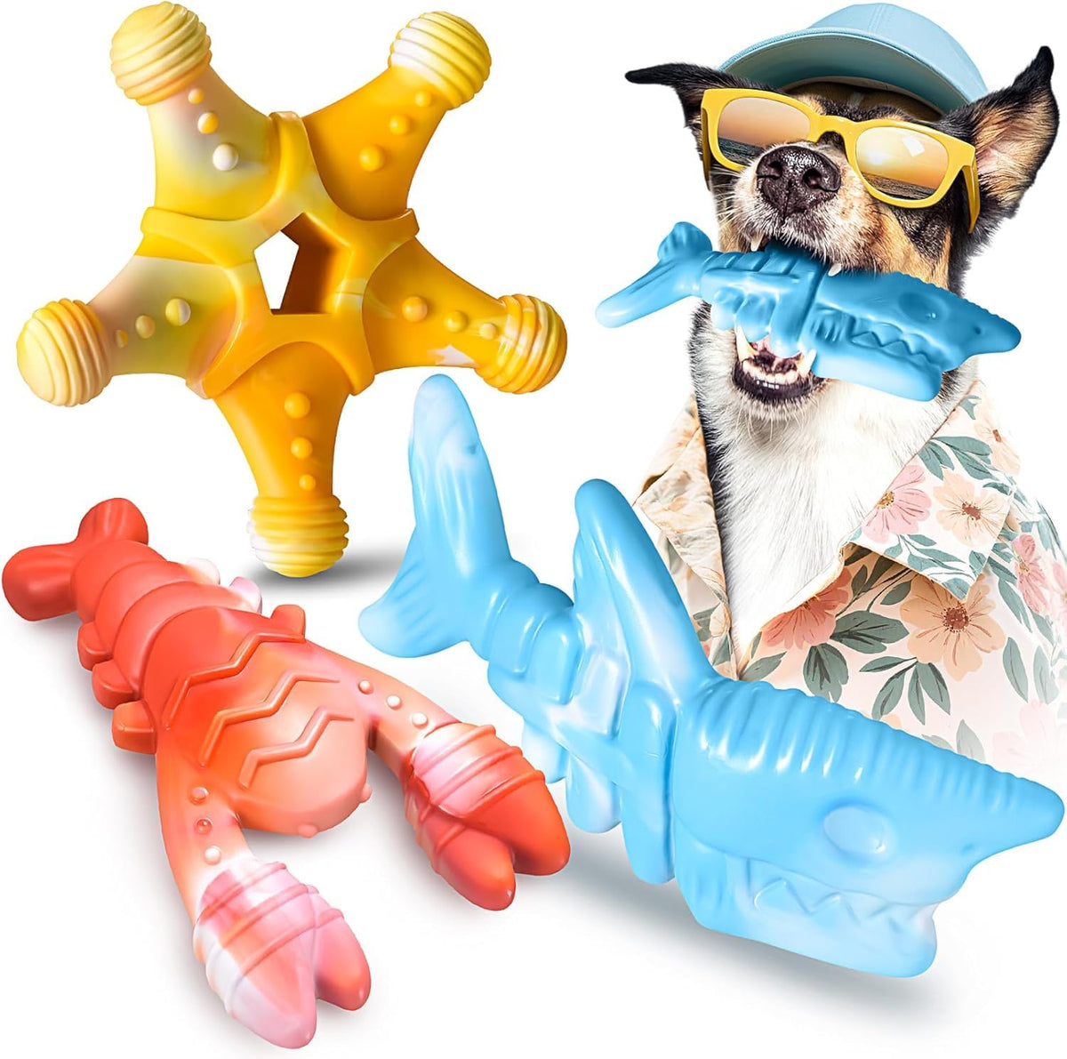 NEZIN jouets a mache r indestructibles pack 3 design oceane pour chien.