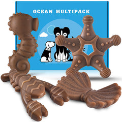 NEZIN pack-4-jouets-mordants montre un lot durable pour chiens actifs.